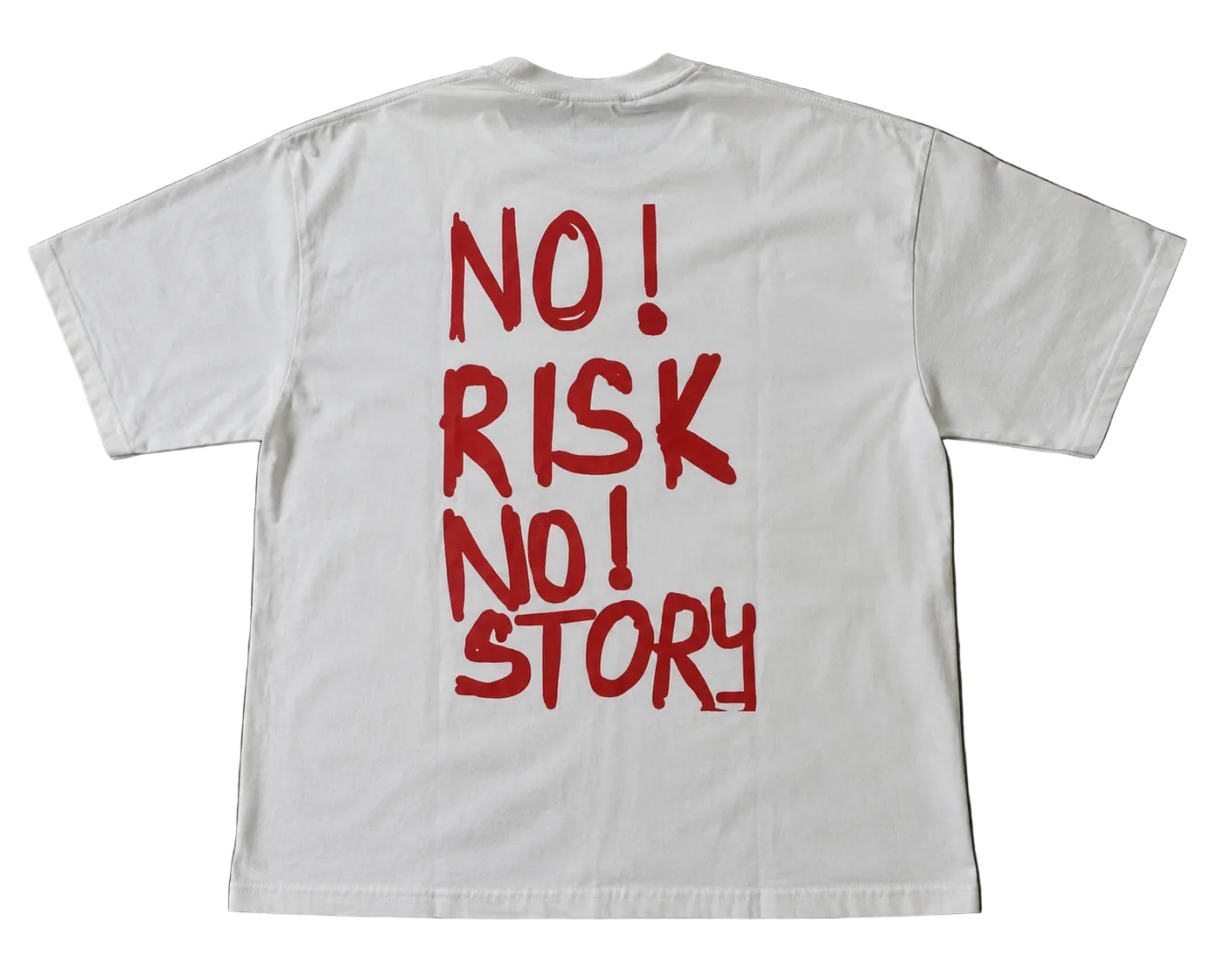 no risk no story