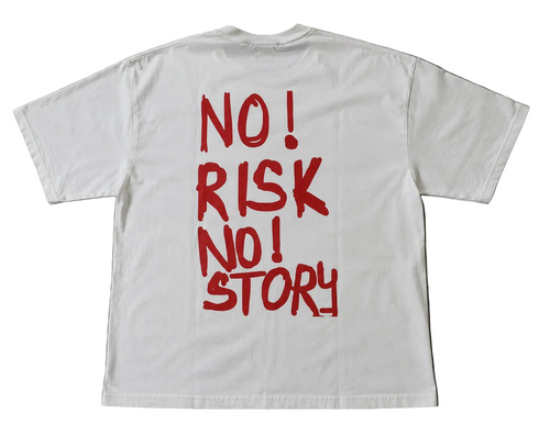 no risk no story